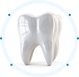 Dental Tooth